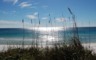 Condo Rental at Adagio on 30A