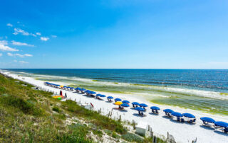 Beach View at Adagio on 30A