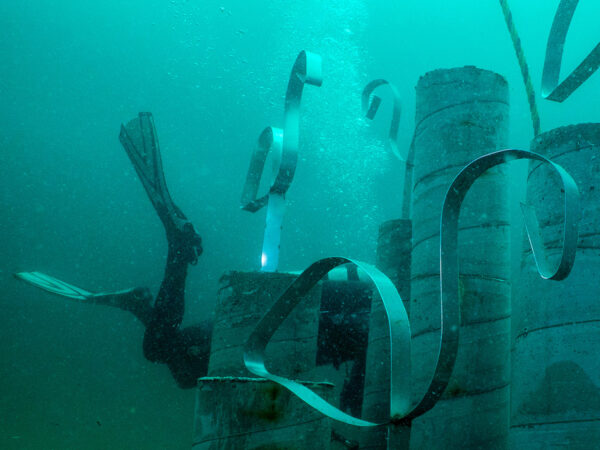 Learn More About the 30A Underwater Museum of Art!